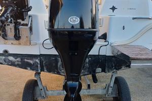 Fuoribordo Usato Suzuki DF115BTGL