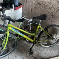 Bicicletta mtb 27”