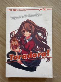 Toradora Light Novel 1