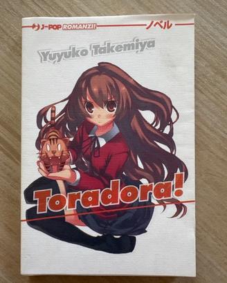 Toradora Light Novel 1