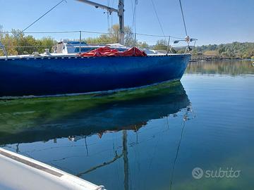 Nauti