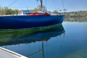 Nauti