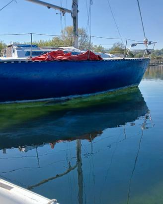 Nauti