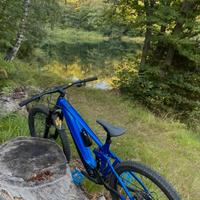 Ebike Giant Reign + da 800Wh Taglia L