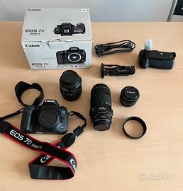 Canon 7D Mark II, 15-85mm IS, 50mm, 70-300mm IS