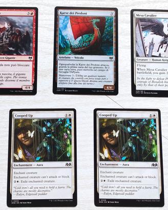 Lotto 5 carte Magic - Mole Codarda - Karve dei Pre