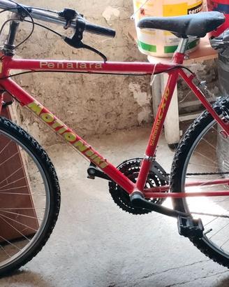 Bici Mountain bike