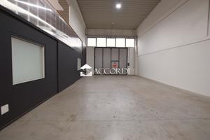 Rif.SW176| capannone vedelago