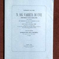N. 105 qualita’ di uve - 1862 - ristampa