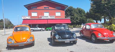 Volkswagen Maggiolino CABRIO o COUPE'