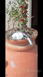 specchietto Malaguti 50 F 12