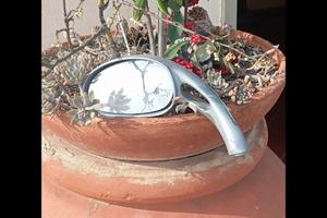 specchietto Malaguti 50 F 12