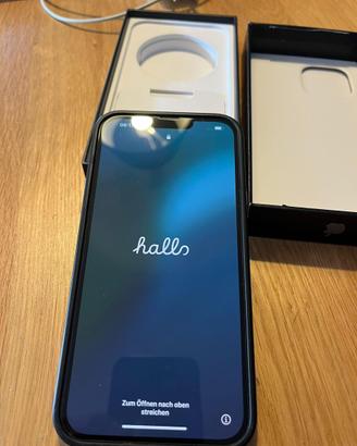 iPhone 13 Pro Max 256GB