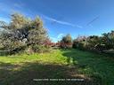 terreno-termini-imerese-
