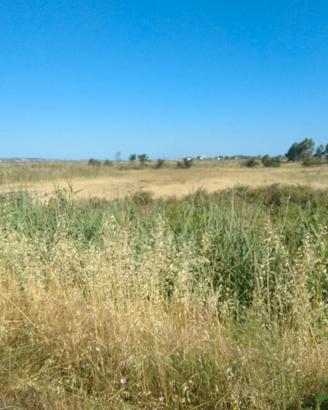 Terreno agricolo a Cabras