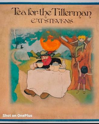 Cat Stevens – Tea For The Tillerman. Vinile. 1972