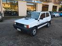 fiat-panda-1000-4x4-trekking-metano