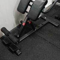 panca romana / hyperextension 