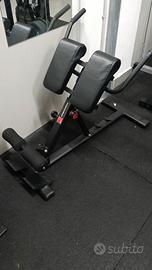 panca romana / hyperextension 