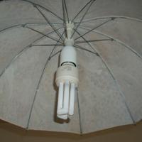 LUCE DA CAMPEGGIO