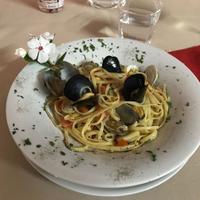 Antipasti - Primi Piatti - Secondi - Dolci