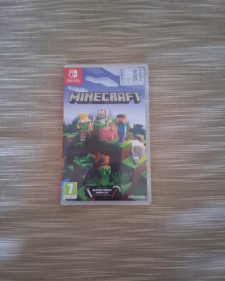 Minecraft Nintendo Switch