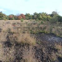 Terreno - Zafferana Etnea