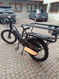 bicicletta cargo elettrica 