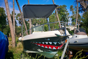 Barca saver 5,5 metri motore yamaha 40/60cv