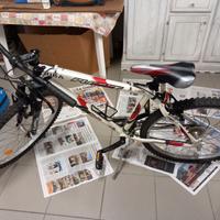 bicicletta