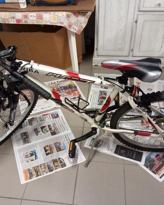 bicicletta