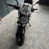 Ducati monster 696+