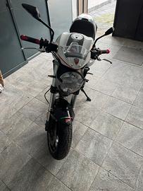 Ducati monster 696+