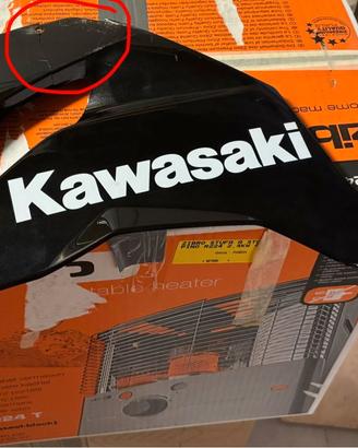 Ricambi Kawasaki ZX6R 636