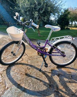 Bicicletta viola e bianca