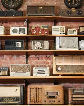 Se dovete gettare una vecchia radio guasta...