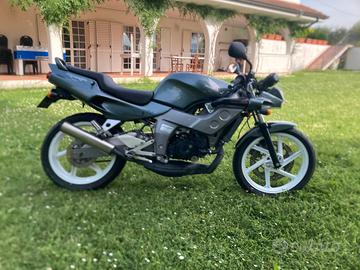 Honda nsr raiden