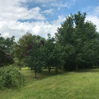 Terreno agricolo con annesso