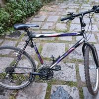 Bici tradizionale cambio Shimano.