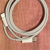 Cavo usb-c/lightning 1mt Apple