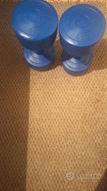 manubri da 5 kg 