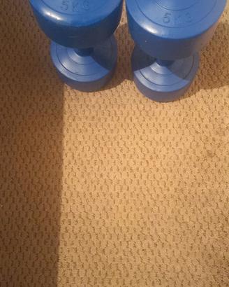 manubri da 5 kg 
