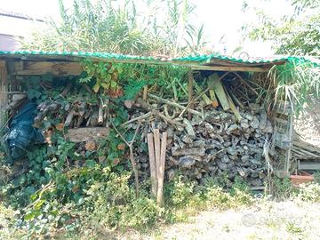 Legna di ulivo da ardere 