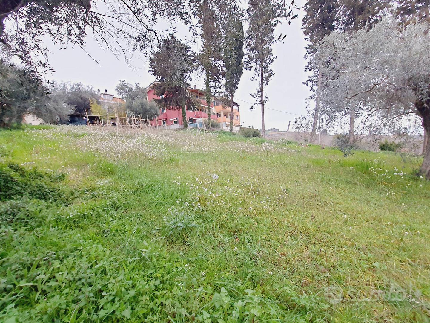 Terreno edificabile residenziale - Monteprandone - Altro