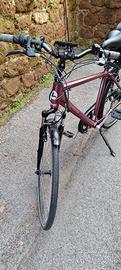 lombardo bicicletta pedalata assistita 