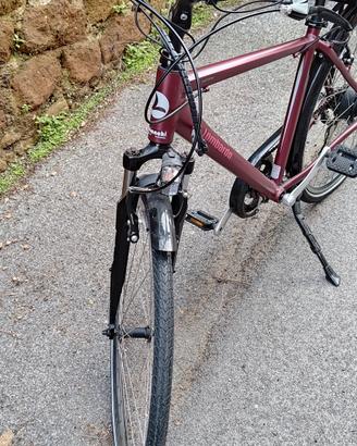 lombardo bicicletta pedalata assistita 