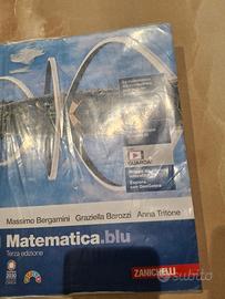 Libro scolastico Matematica.  blu vol.1