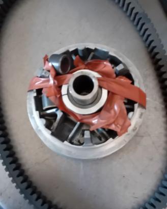 Variatore SH300