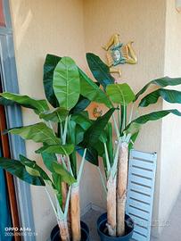 pianta banano artificiale220 cm Luxury - 3 tronchi