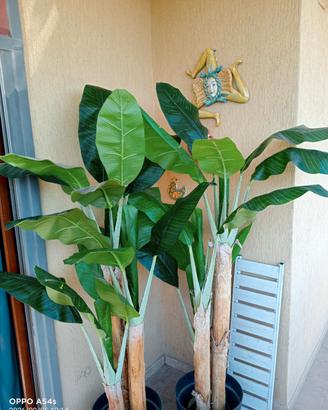 pianta banano artificiale220 cm Luxury - 3 tronchi